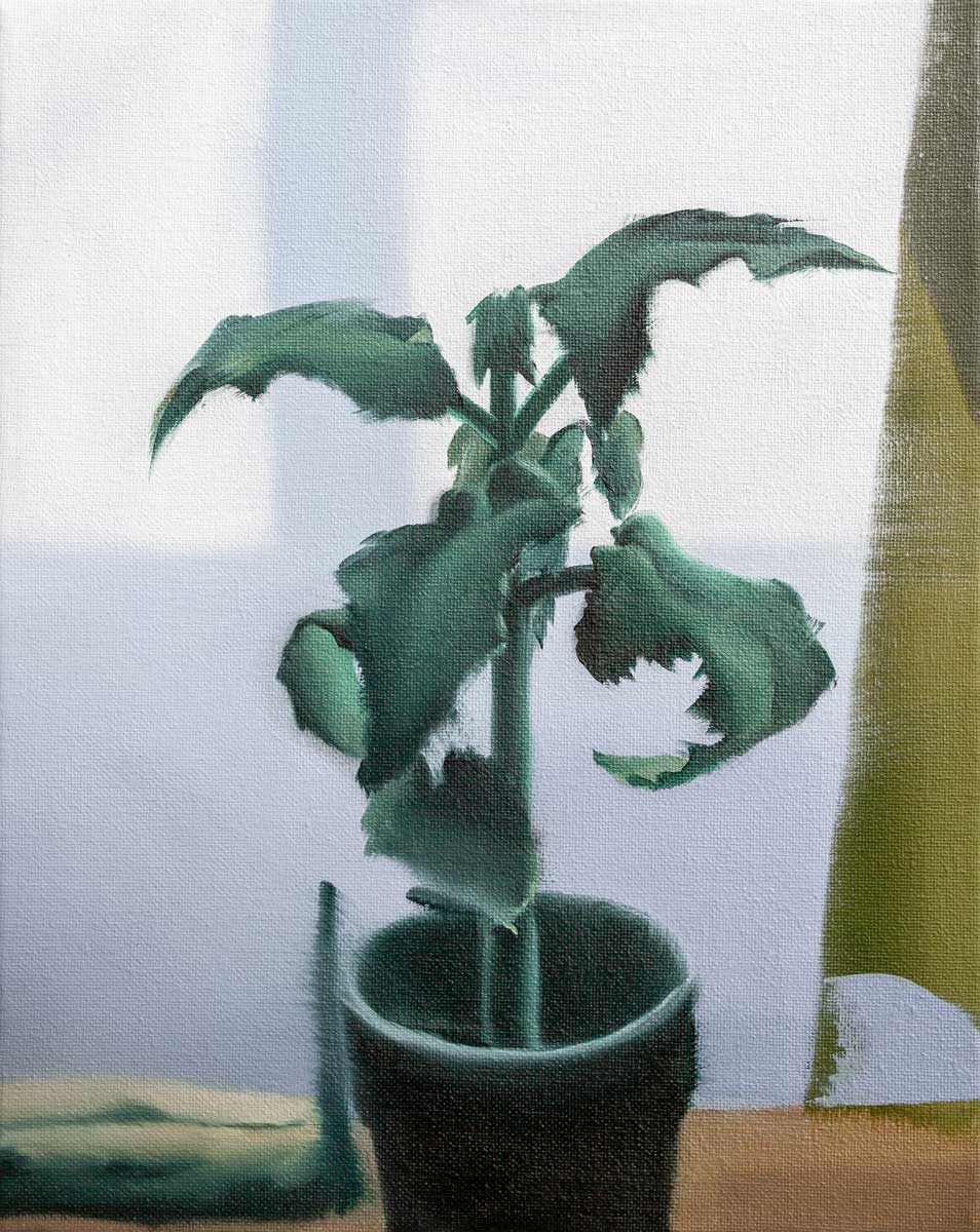 Portrait einer Pflanze